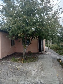 Продам дом доча в обществе Волна