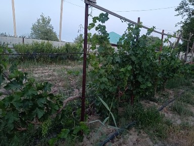 Дача сатылады Сабалақ Обувщик