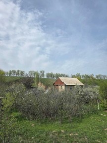 Продается дом-дача с хоз. постройками рядом речка
