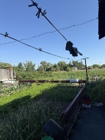 Карагандинская область, Садовое
