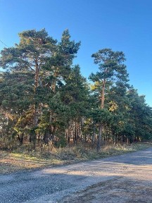 Продам срочно дом! Без посредников! Выгодное предложение!