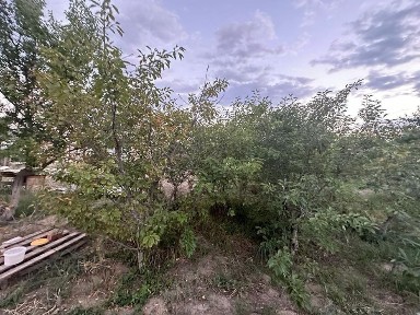 Монсарт в даче продается. Хорошый дом.