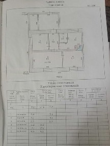 Продам 3х комн. дом с гаражом с. Быструха