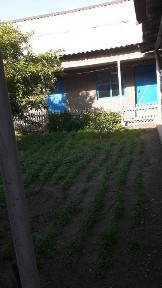 Продается дом в хорошем состоянии. Цена договорная