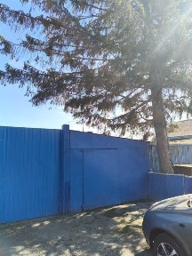 Северо-Казахстанская область, Мамлютка