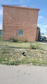Продам коттедж в Алгабасе