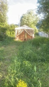 Алматинская область, Тельмана