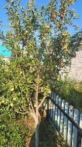 Продам или меняю с доплатой полдома в п. Жанаконыс по улице Абая 9