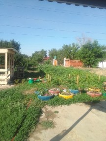 Доставка готовых, свежих шашлыков с доставкой на дом.