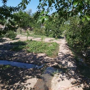 Кызылординская область, Кызылорда