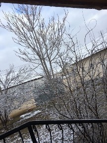 Туркестанская область, Жетысай