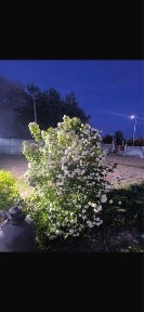 Продается дом в поселке жана арна
