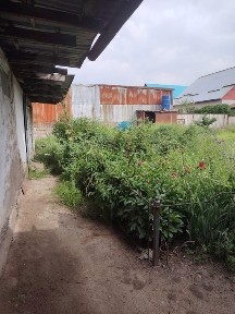Алматинская область, Талгар