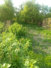 Продажа дач в Текели