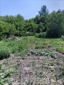 Продам деревянный дом