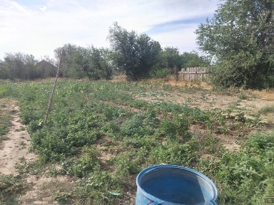 Продам дом в хорошем состоянии