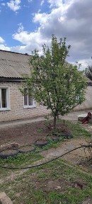 Продам частный дом.