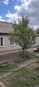 Продам частный дом.