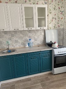 Западно-Казахстанская область, Мичуринское