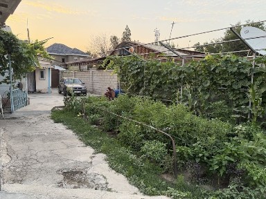 Жамбылская область, Болтирик шешен