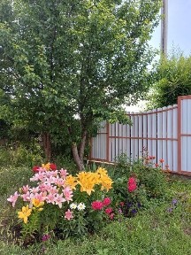 Продам дом Жанаконыс