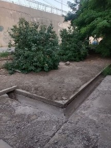 Продаю дом в центре города