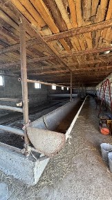 Фазенда сатылады, жанадан салынған, 3 мал қорасы бар, территориясы үлкен