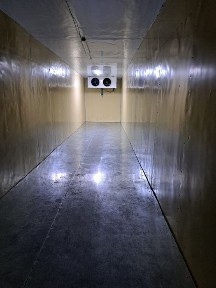 Сдам в аренду реф контенера марозильные