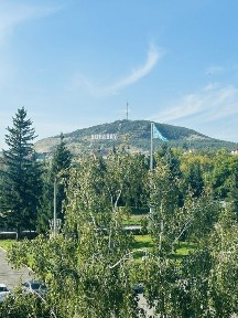 Сдам 2 ком квартиру посуточно