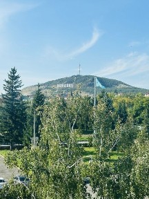Сдам 2 ком квартиру посуточно