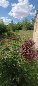 Жамбылская область, Каратау
