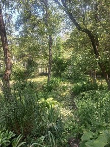Продам дом в г. Талгаое