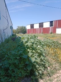 Западно-Казахстанская область, Уральск, Микрорайон 6 (Конаева)
