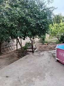 Продам два дома в кайнар Булак