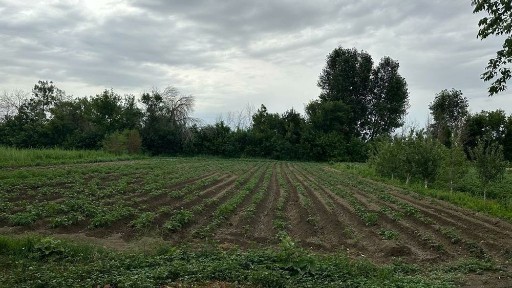 Продаётся дом п. Алдабергеново