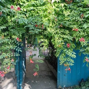 Продается дача Кайнар