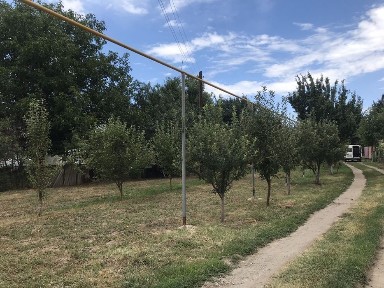 Продам дом в Тургене