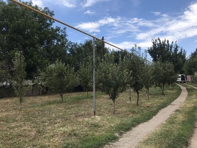 Продам дом в Тургене