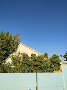 Дом 3х комнатный, гараж, большой участок