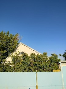 Дом 3х комнатный, гараж, большой участок