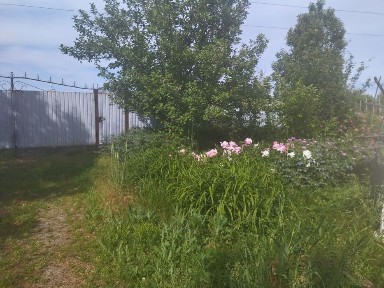 Продам 4 комнатный дом в селе Шымыр