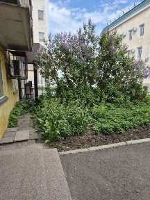 Сдам в аренду, продам
