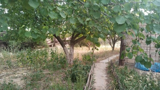 Срочно продается дом в поселке Доссор