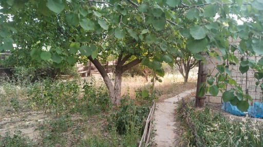 Атырауская область, Балыкши
