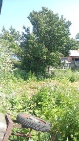 Продам дом по семипалатинской
