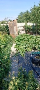 Продам дачу зимний вариант восточный 6 дачи