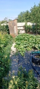 Продам дачу зимний вариант восточный 6 дачи
