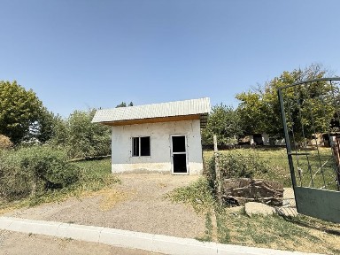 Туркестанская область, Сарыагаш