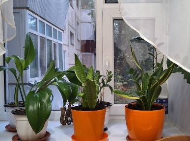 Продам 3-к квартиру в Зигзаге