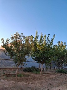 Продается дом в мкр. Оркен